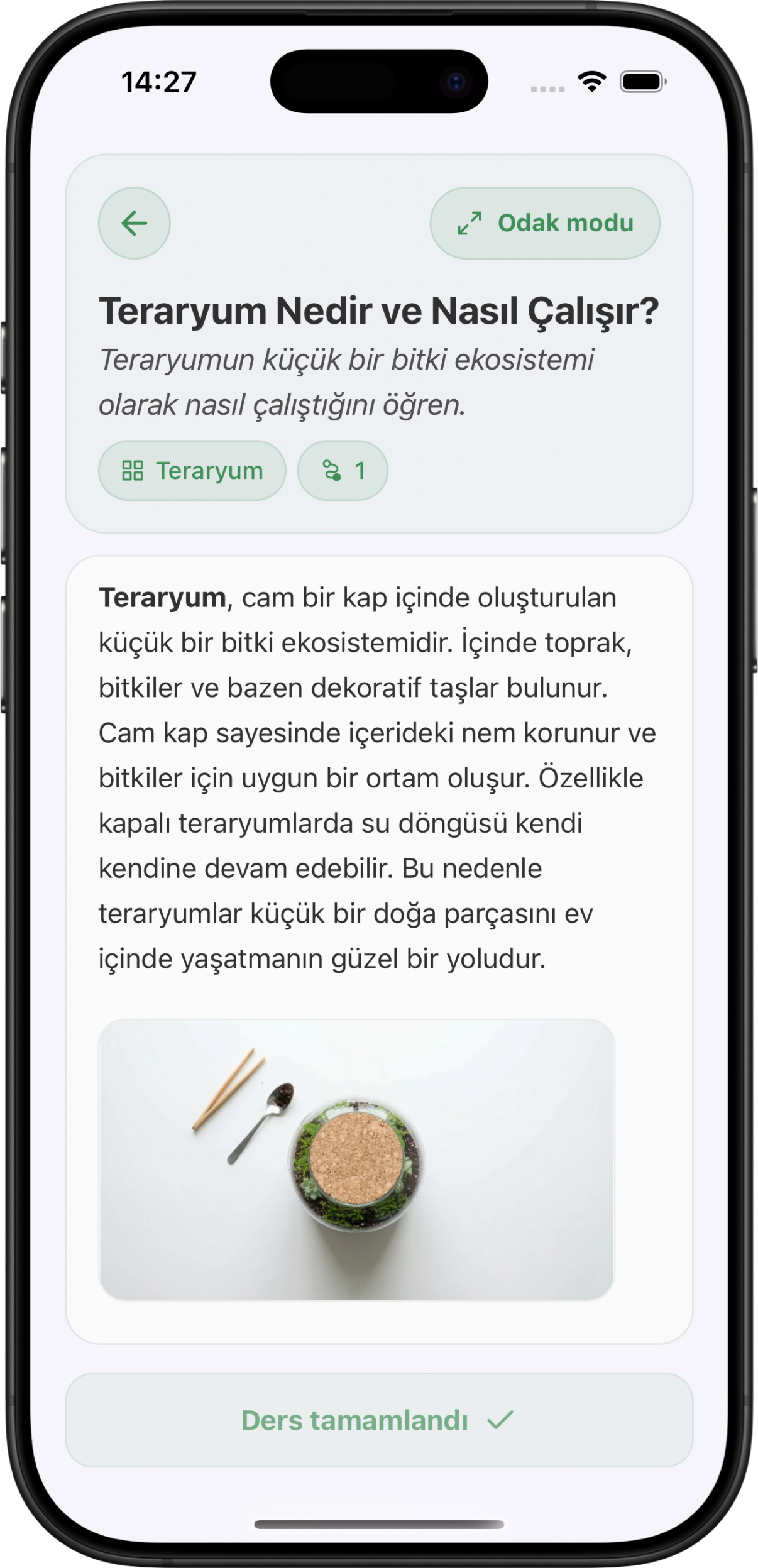 📱 Uygulama Önizlemesi 5
